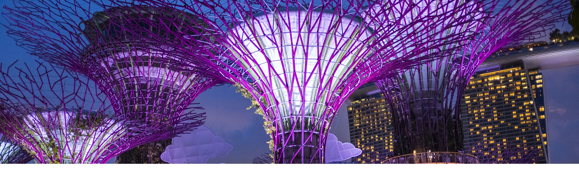 Singapore Sky gardens